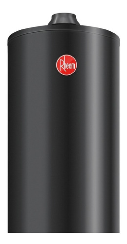 Imagen 2 de 5 de Termotanque Rheem Confort Residencial 160 Litros Apg160nrh07