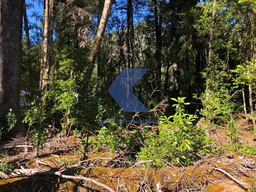 Terreno En Venta En Cisnes