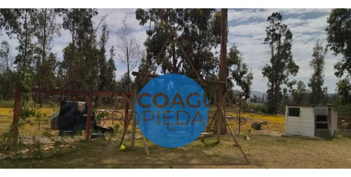 Oportunidad De Arriendo En Catapilco Zapallar