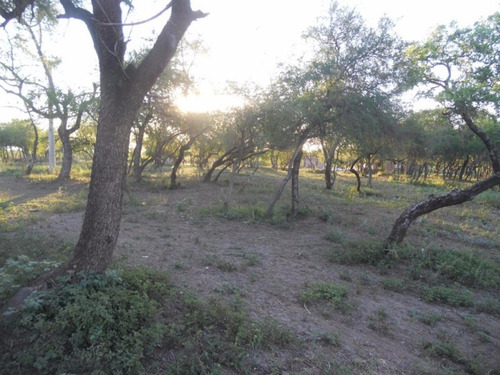 Imagen 12 de 14 de Lotes En Venta San Javier Yacanto, Traslasierra