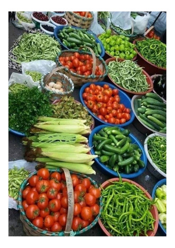 Combo Huerta De Verano (+1370 Semillas) Calidad Profesional
