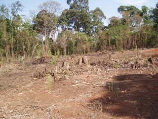Imagem 1 de 8 de Área, 4956 M² - Venda Por R$ 3.400.000,00 Ou Aluguel Por R$ 7.500,00 - Centro (vargem Grande Paulista) - Vargem Grande Paulista/sp - R00156
