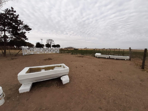 Imagen 4 de 30 de Campo En Córdoba (general Deheza)