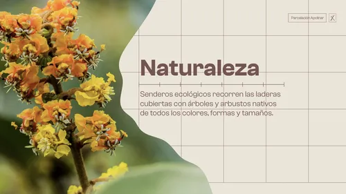 Proyecto De Lotes En San Jerónimo