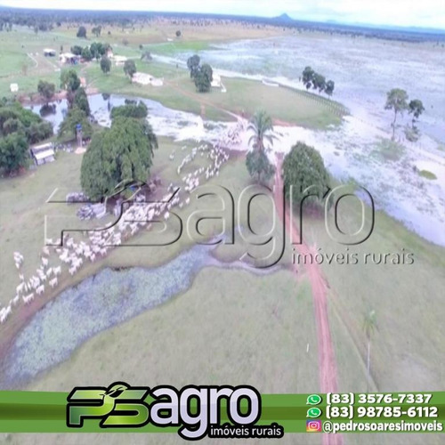 Imagem 3 de 15 de Fazenda À Venda, 12000 Hectares Por R$ 100.000.000 - Zona Rural - Nossa Senhora Do Livramento/mt - Fa0107