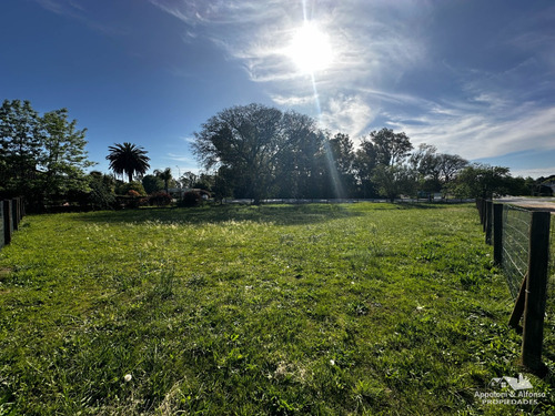 Espectacular Terreno Sobre Av. Battle Y Ordoñez #395