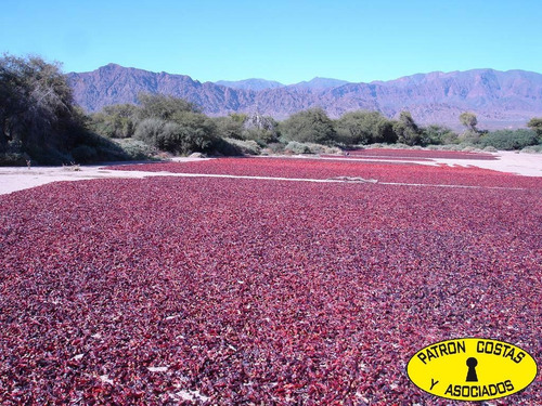 2071hp 100 Has Finca C/riego Y Hosteria. Valles Calchaquies