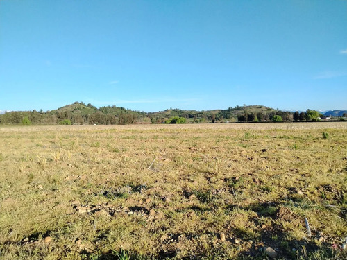 Terreno Agrícola De 33,5 Ha - Campo En Venta, San Clemente
