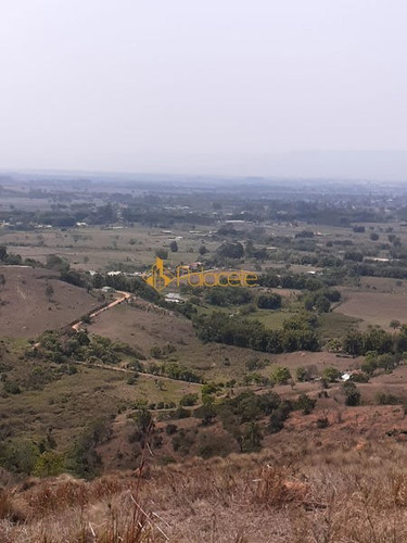 Imagem 3 de 4 de Rural Chacara - 836710-v