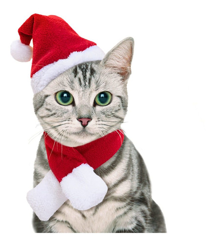 Namsan Disfraz De Gato De Navidad Para Perro, Sombrero De Pa