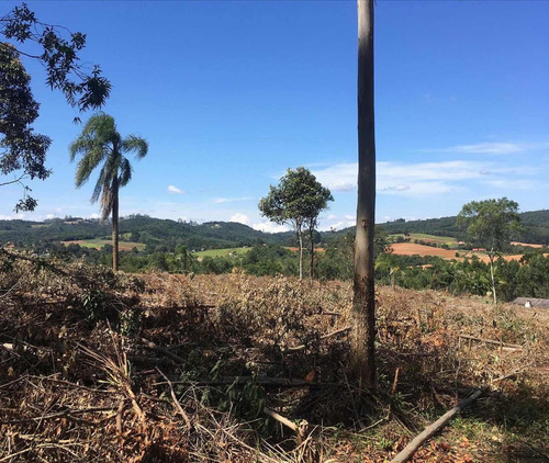 Imagem 10 de 14 de A01- 1500m2 De Terreno Plaino Em Ibiuna!