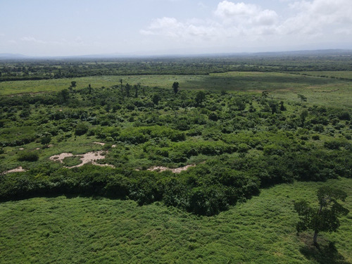 Imagen 14 de 30 de Finca En Venta Aguadagrande, Siquisique Cod. 23-7859