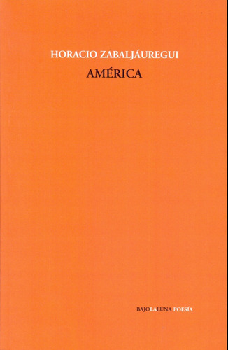 America - Horacio Zabaljauregui