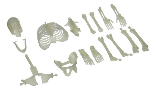 U.s. Toy Ustmu75 - Figura De Acción De Esqueleto Que Brill.