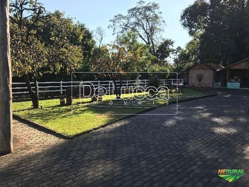 Imagem 9 de 18 de Chácara À Venda Em Jardim Independência - Ch003619