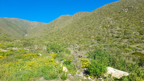Parcela De 5006 Mt2 En Arrayán Costero, La Serena