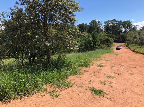 (k.a) Lançamentos Imperdiveis