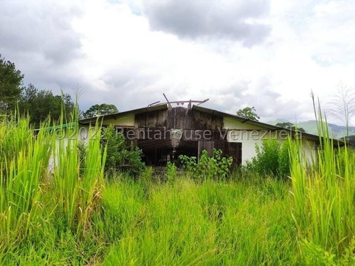 Imagen 3 de 20 de Finca Avicola En Venta Bejuma Carabobo