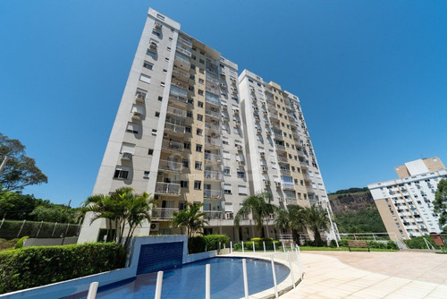 Apartamento - Jardim Carvalho - Ref: 196812 - V-196924