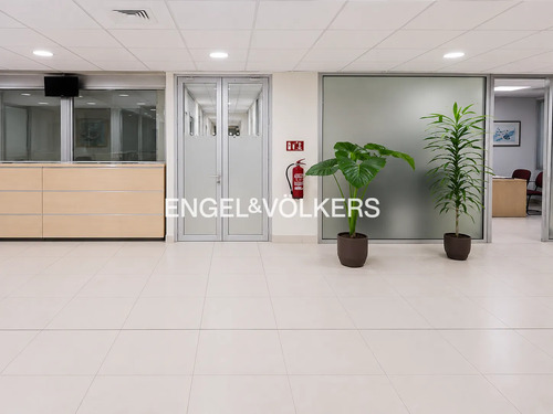 Oficina Habilitada En Arriendo Linares 365 M2