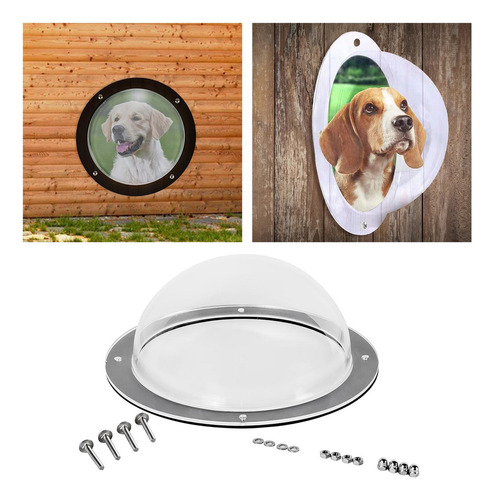 Perro Valla Ventana Domo Claro Paisaje Exterior Visor Para