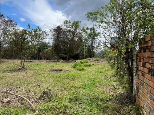 Lote En Venta Rionegro-los Pinos