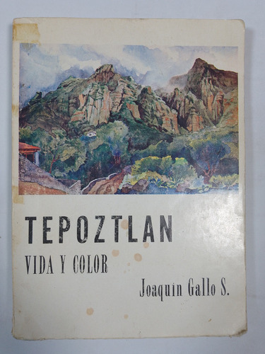 Tepoztlan Vida Y Color - Joaquín Gallo Sarlat (Usado)