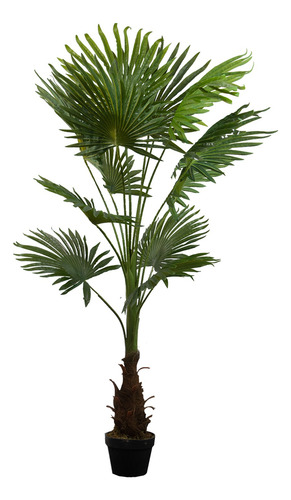 Kit 2 Plantas Artificiales Tipo Palmito 150cm Recepcion