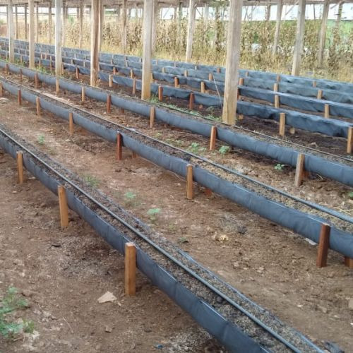 3 Calha Cultivo Morango Suspenso Com 102x0,45 Mts 200 Micras