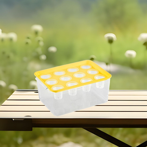 Caja De Hidropónico, Acuario De Para Interiores, Amarillo