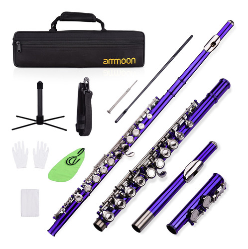 Ammoon - Flauta C (16 Llaves, Cuproníquel, Niquelado)