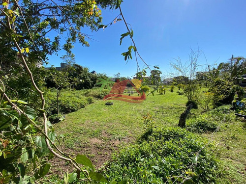 Terreno Para Venda Em Florianópolis, Ratones - T118_1-1849395