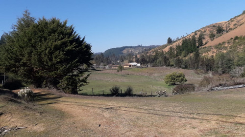 Paredones, Vendo Predio Agrícola Forestal, 23,5 Hectáreas