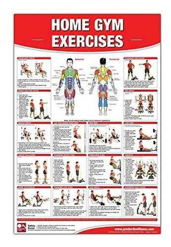Book : Home Gym Exercises Laminated Poster/chart Home Gym..