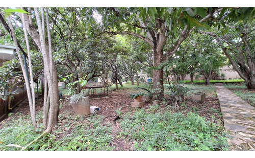Vendo Terreno 6570m2 Los Chorros 3568