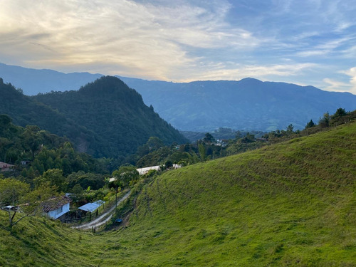 Imagen 2 de 8 de Finca Barbosa