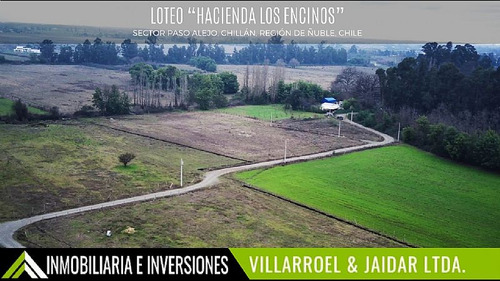 Venta De Parcela Camino A Coihueco