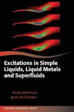 Libro Excitations In Simple Liquids, Liquid Metals And Su...