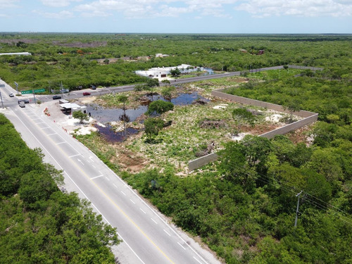 Imagen 4 de 13 de Terreno - Conkal Para Proyecto Comercial