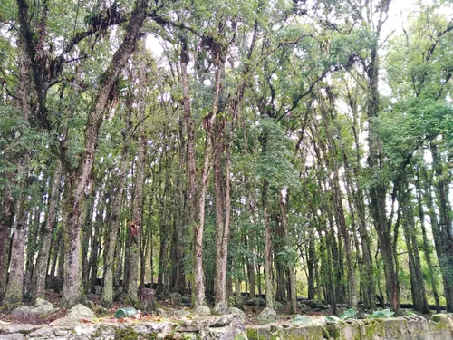 Vendo Espectacular Terreno