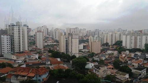 Imagem 4 de 30 de Apartamento Para Aluguel, 3 Dormitórios, Jardim Da Saúde - São Paulo - 11221