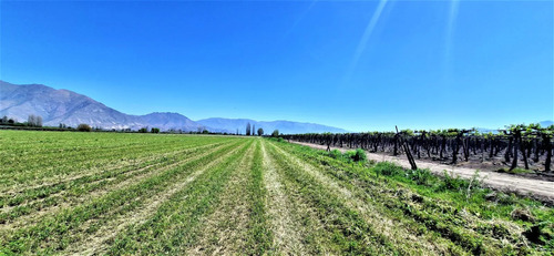 En Venta Parcela En San Rafael, San Felipe, 75.600 M2., En P