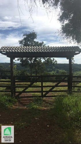 Imagem 2 de 6 de Venda Chacaras De Lazer Planalmira, E Mais Próximo Ainda, De Abadiânia Velha - 6035