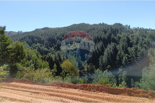 Se Vende Parcela San Ignacio
