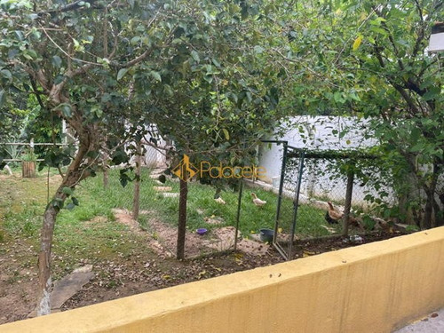 Imagem 9 de 16 de Rural Chacara Com 4 Quartos - 59643-v