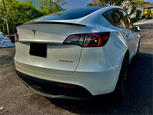 Tesla Model Y Performance Dual Motor