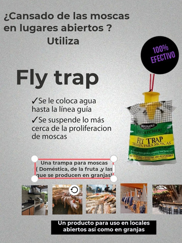 Fly Trap Trampa Para Moscas Mata Moscas Purge