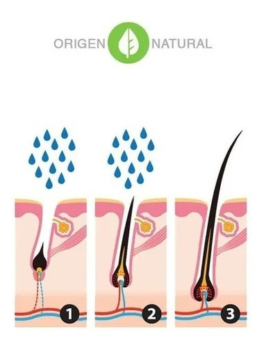 Calvistop 4 Semanas Para Caída Del Cabello