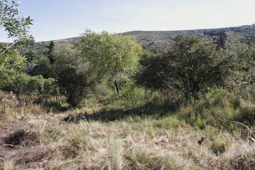 Imagen 8 de 10 de Lote De 600 M2 En Venta En La Falda Punilla