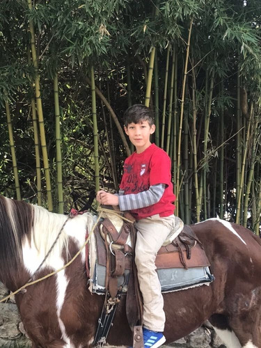Terreno Ecuestre En Venta Havetno655 Para Desarrollar Finca Para Montar Caballo